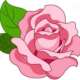 Beauty07